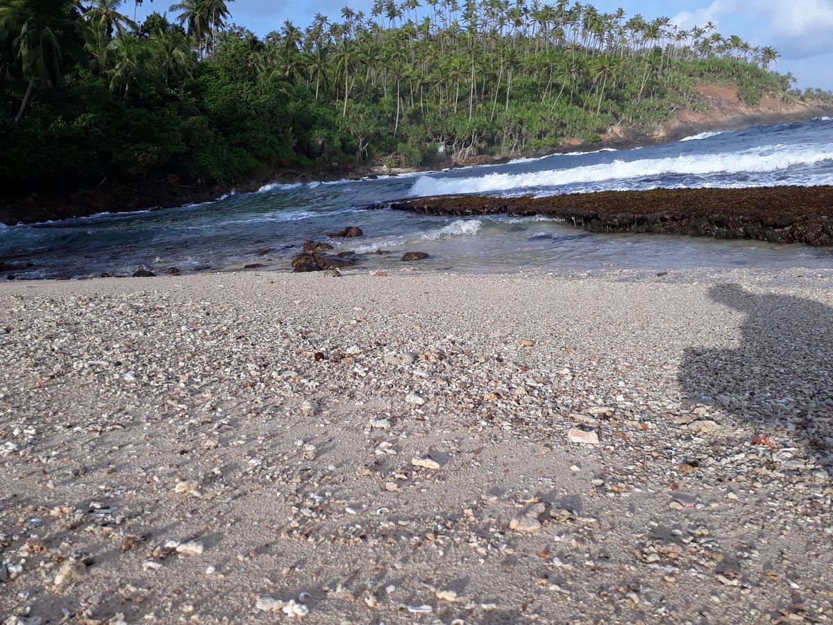 Sea Shine Beach Resort Mirissa Extérieur photo